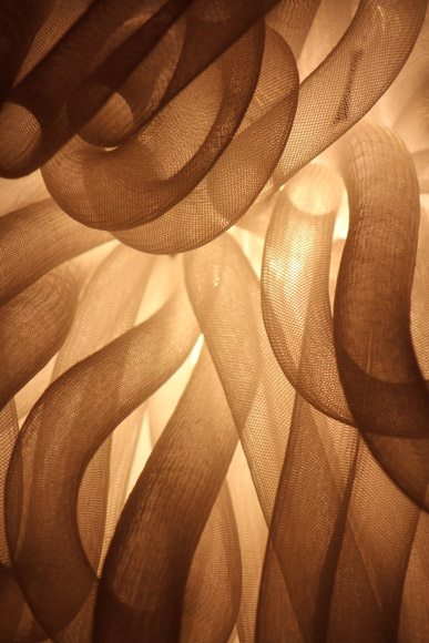 Rhonda-The-Speed-of-Light