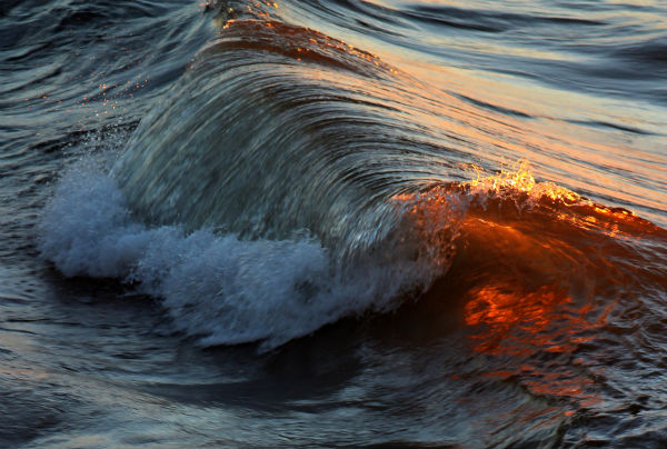 RhondaMullen-TheCurl-1st-PeoplesChoice-2ndRunnerUp-Judge