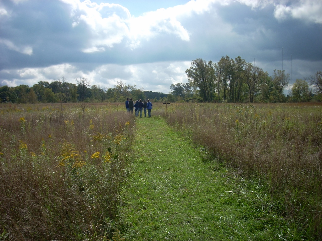 Shirley Heinze Land Trust Educational Hike: What Lies Beneath the Prairie?