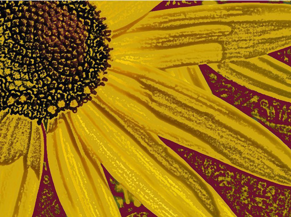 SteveMessamer-Sunflower