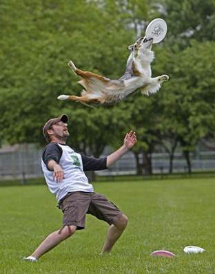 Vale-Park-Olympic-Pets-3