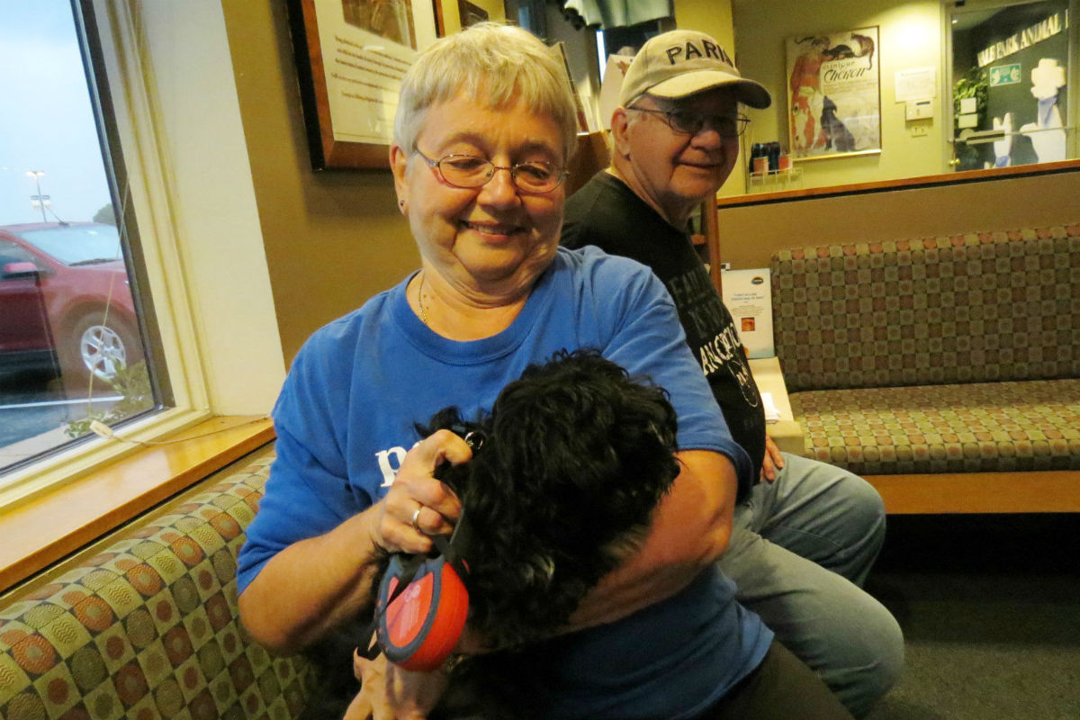 Vale-Park-Puppy-Class 1