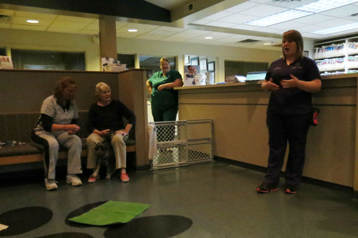 Vale-Park-Puppy-Class 4