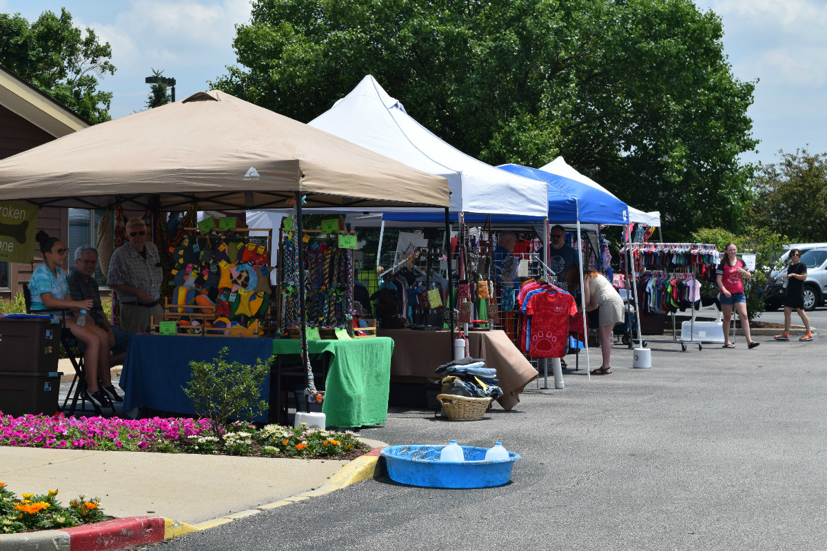 ValePark-DogDays-2016-5