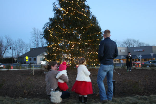 valpo-tree-1